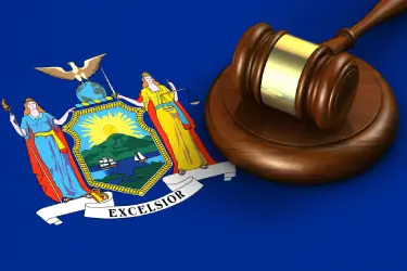 laws of the state of new york laws of the state of new york